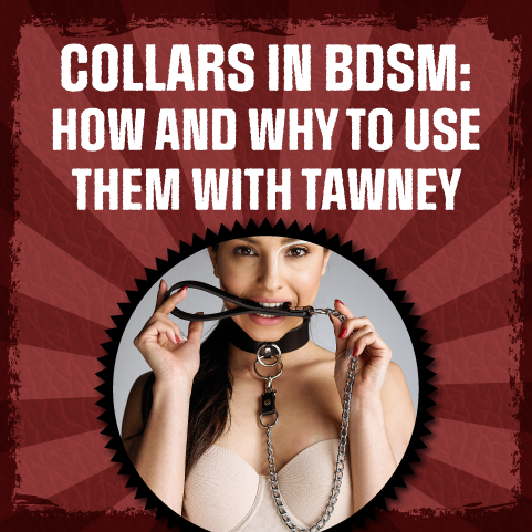 Collars in BDSM: How and Why to Use Them with Tawney