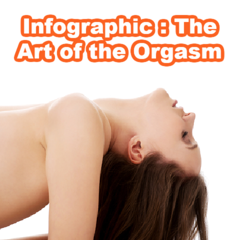 Infographic : The Art of the Orgasm