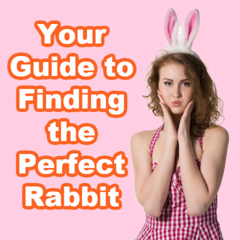 Your Guide to Finding the Perfect Rabbit By Victoria Fleming