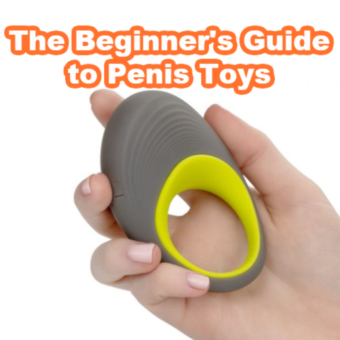 The Beginner's Guide to Penis Toys