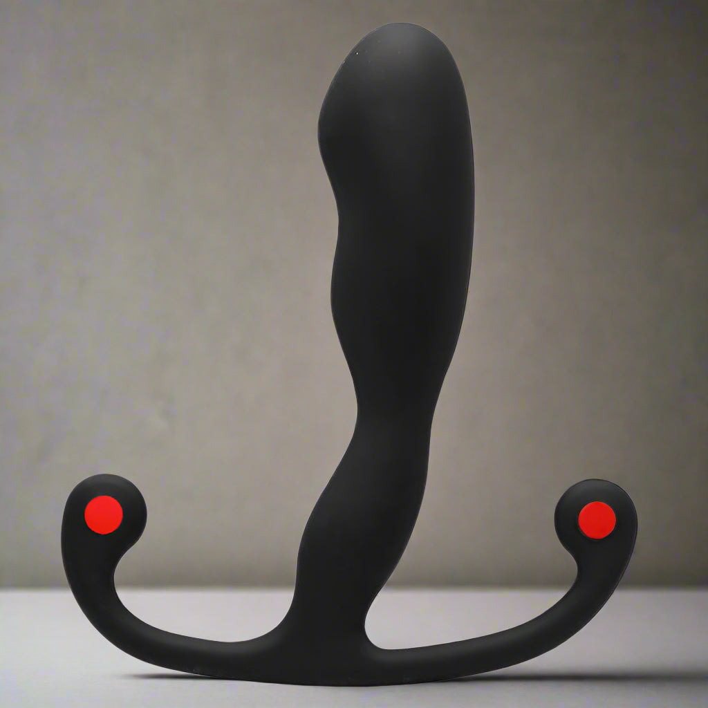 Aneros Prostate Massagers