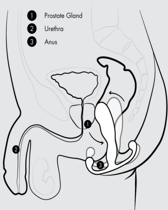 Aneros Progasm Black Ice Hands-Free Prostate Stimulator (Large) graphic 