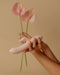 A pair of elegant hands with manicured nails holds a Pepper Indulge Magnetic Rabbit Vibrator, made of body-safe silicone, against a backdrop of two pink anthurium flowers on a beige background, creating an artistic composition.