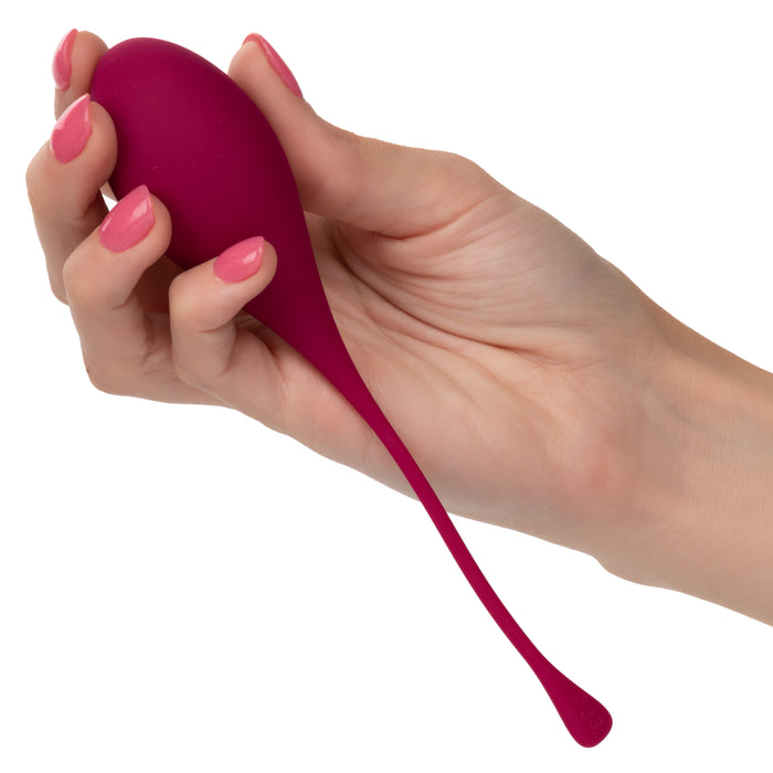 Kegel Training 5-Piece Weighted Pelvic Floor Exerciser Set