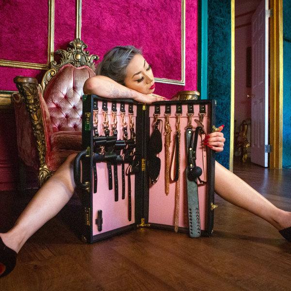 bondage gear shop Temptasia Safe Word Bondage Kit with Suitcase — BTB Shop