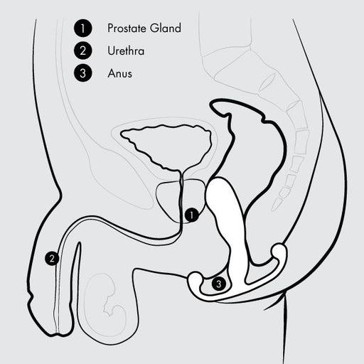 An anatomical diagram of the male reproductive system from the Aneros Helix Trident Hands-Free Prostate Stimulator series, showing the locations of the prostate gland (1), urethra (2), and anus (3). Lines and labels point to each respective part within a side view outline of the body.