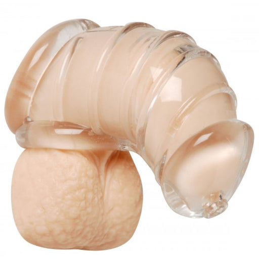 XR Brands Detained Soft Body Penis Chastity Cage on a neutral background, designed for discreet comfort.