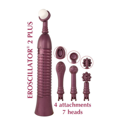 Joan's Top Toys for Seniors by Joan Price BTB Shop Joan's Top Toys for Seniors by Joan Price BTB Shop