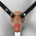 A chocolate-toned Fantasy X-Tensions Elite 7-inch silicone dildo is attached to a black harness featuring silver rings. The lifelike strap-on, from Pipedream Products, is shown being worn securely around the waist and between the legs. The image focuses on the front view of this realistic-feeling harness and dildo set.