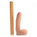 The Loadz Squirting 8 Inch Vanilla Tone Dildo by XR Brands stands upright beside a wooden ruler with an inch scale, showcasing its height against the white background.