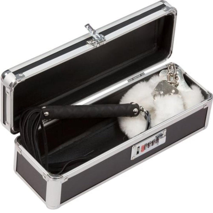 Lockable Vibrator Case Small - Black open with toys inside