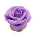 A close-up of a single artificial purple rose with green leaves, isolated on white—the perfect romantic touch to the Midnight Magic Couples' Sex Toy Gift Set.
