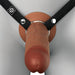 The Fantasy X-Tensions Elite Hollow 9 Inch Silicone Dildo & Strap-On Harness - Chocolate sits in the hole, crafted from dual-density Elite Silicone for a realistic look and feel.