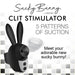 Image advertisement for "Shegasm Sucky Bunny Beginner Clit Stimulator" by XR Brands. This device, designed to resemble a black bunny, features two buttons and boasts "5 Patterns of Suction." Made from body-safe silicone, it’s ideal for those new to beginner vibrators. "Meet your adorable new sucky bunny!" against a checkered background.