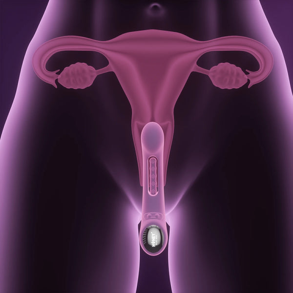 Illustration of a translucent female body showing the Tempo G-Spot Tapping Pressure Sensing App-Controlled Vibrator inserted in the vaginal canal for precise g-spot stimulation beneath the uterus, cervix, and ovaries.