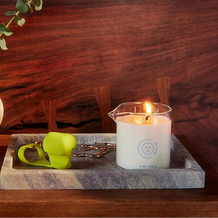The Wild Lust Massage Oil Candle by Dame (Lime Leaf, Ambrette & White Peach), a green wick trimmer, and a metal wick dipper sit on a stone tray against wood, with green leaves in the top left corner.