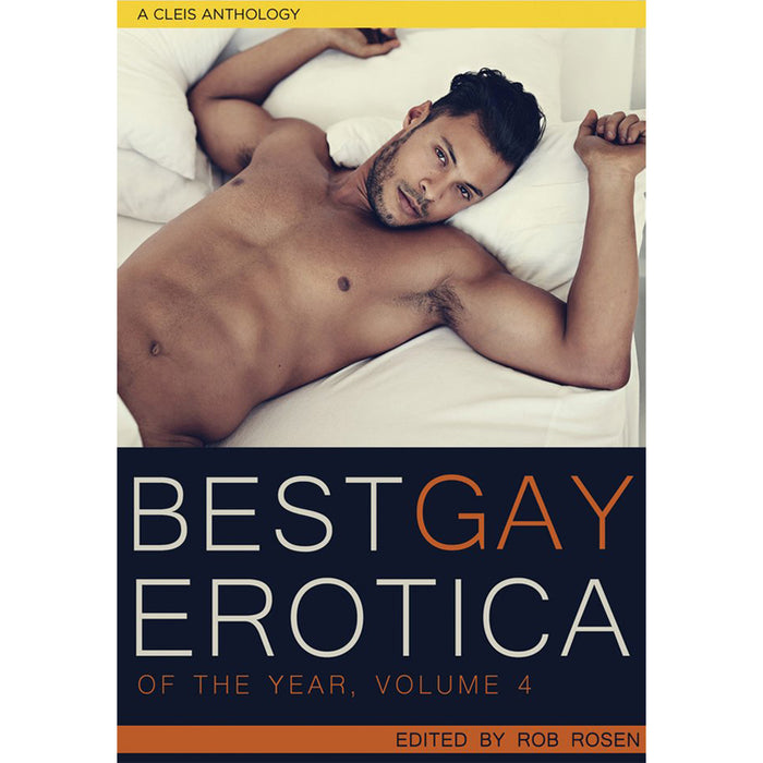 Best Gay Erotica of the Year Vol 4