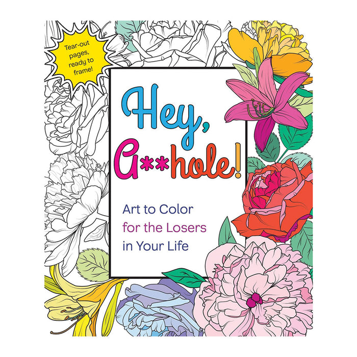 Hey A**hole Coloring Book book jacket