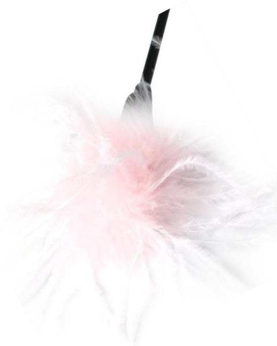 Sex & Mischief Whip & Tickle Feather Tickler & Whip - Pink & White close up of feather tickler