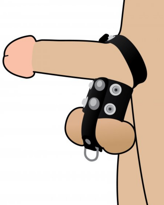 Strict Cock Strap and Ball Stretcher shown in a drawing on a penis and balls