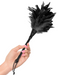 A hand with pink polished nails teasingly holding a Fetish Fantasy Frisky Feather Duster by Pipedream Products against a white background.