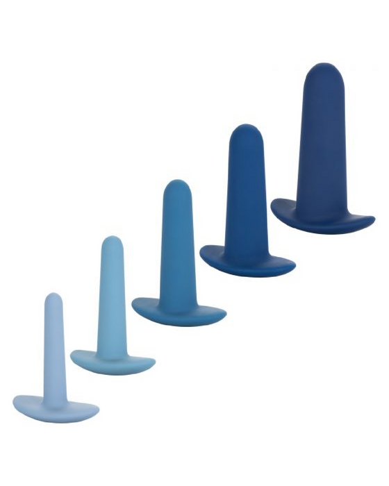 They-ology 5-Piece Wearable Anal Training Set