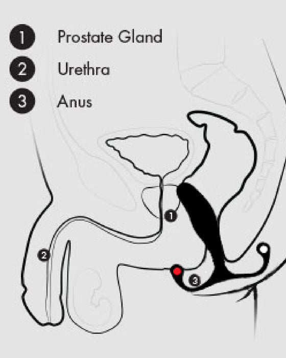Aneros MGX Syn Trident Hands-Free Prostate Stimulator